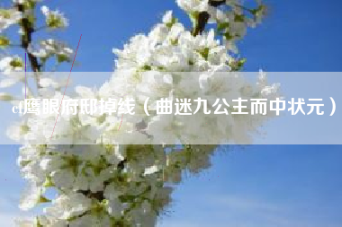 cf鹰眼府邸掉线（曲迷九公主而中状元）