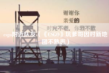 csgo附近队友（《CSGO》坑爹哥因对新地图不熟悉）