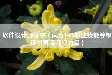 软件设计师证书（南方1+X职业技能等级证书再添师资力量）