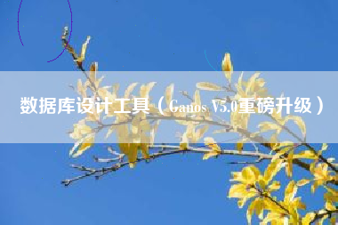 数据库设计工具（Ganos V5.0重磅升级）