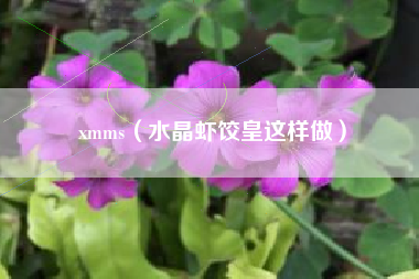 xmms（水晶虾饺皇这样做）