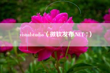 visualstudio（微软发布.NET 7）