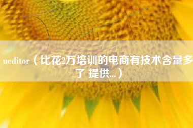 ueditor（比花2万培训的电商有技术含量多了 提供...）