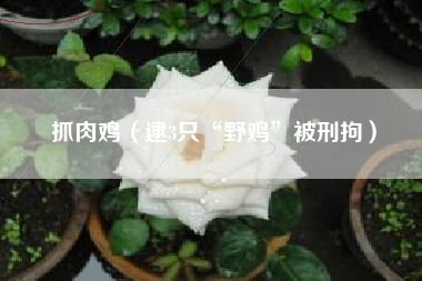 抓肉鸡（逮3只“野鸡”被刑拘）