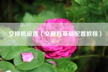 交换机设置（交换机基础配置教程）