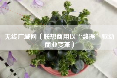 无线广域网（联想商用以“数据”驱动商业变革）