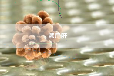 濑尾肝