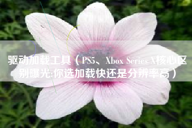 驱动加载工具（PS5、Xbox Series X核心区别曝光:你选加载快还是分辨率高）