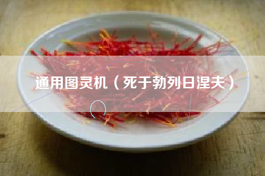 通用图灵机（死于勃列日涅夫）