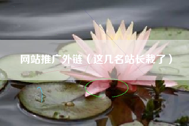 网站推广外链（这几名站长栽了）
