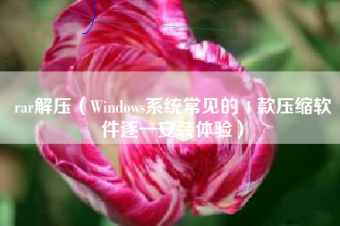 rar解压（Windows系统常见的 4 款压缩软件逐一安装体验）