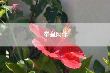 拳皇阿修