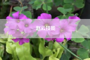 赵云技能