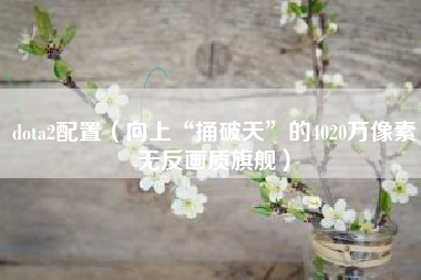 dota2配置（向上“捅破天”的4020万像素无反画质旗舰）