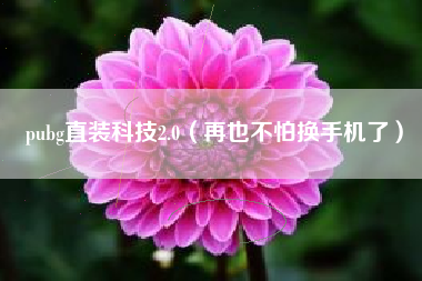 pubg直装科技2.0（再也不怕换手机了）