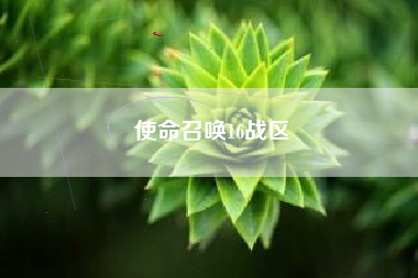 使命召唤16战区