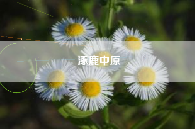 涿鹿中原