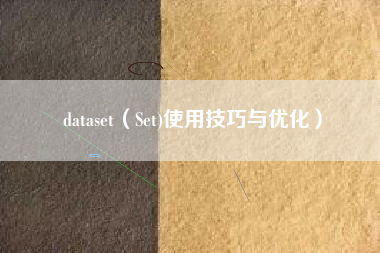 dataset（Set)使用技巧与优化）