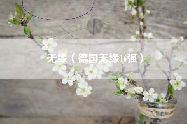 无缘（德国无缘16强）