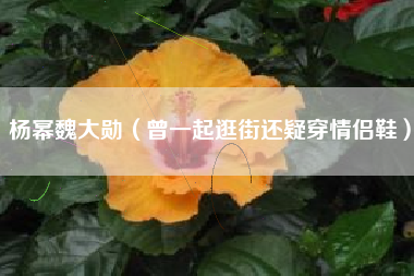 杨幂魏大勋（曾一起逛街还疑穿情侣鞋）