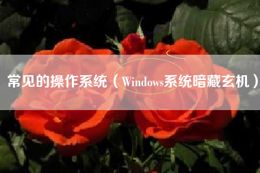 常见的操作系统（Windows系统暗藏玄机）