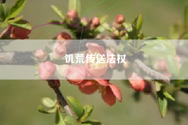 饥荒传送法杖