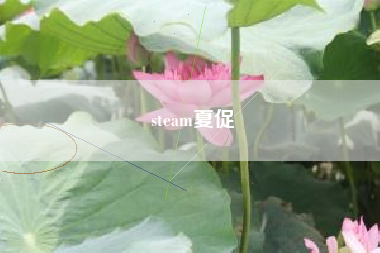 steam夏促
