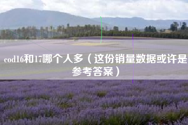 cod16和17哪个人多（这份销量数据或许是参考答案）