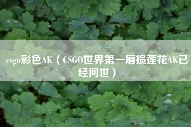 csgo彩色AK（CSGO世界第一磨损莲花AK已经问世）