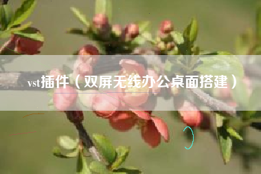 vst插件（双屏无线办公桌面搭建）