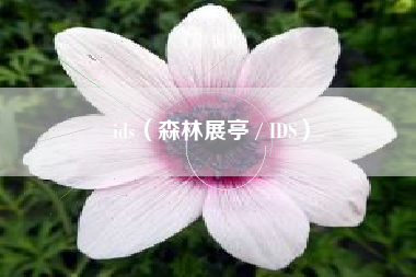 ids（森林展亭 / IDS）