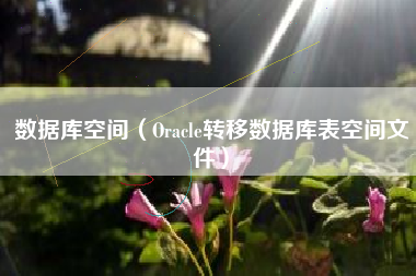 数据库空间（Oracle转移数据库表空间文件）