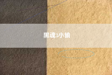 黑魂3小偷