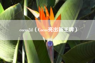 cocos2d（Cocos亮出新王牌）