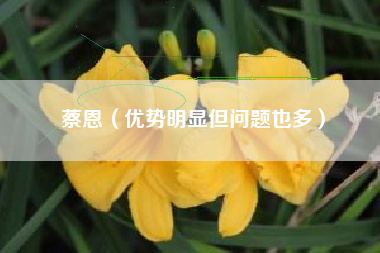 蔡恩（优势明显但问题也多）