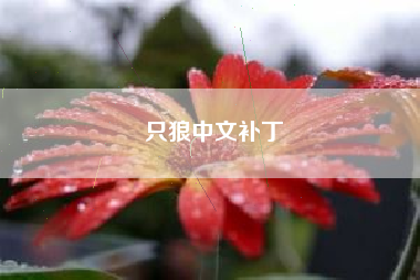 只狼中文补丁