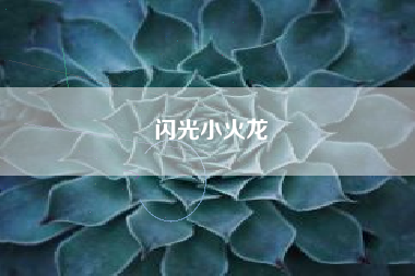 闪光小火龙