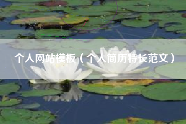 个人网站模板（个人简历特长范文）