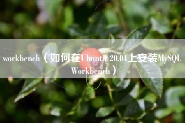 workbench（如何在Ubuntu 20.04上安装MySQL Workbench）