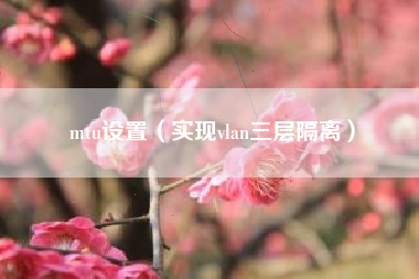 mtu设置（实现vlan三层隔离）