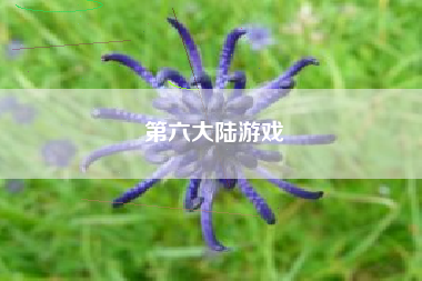 第六大陆游戏