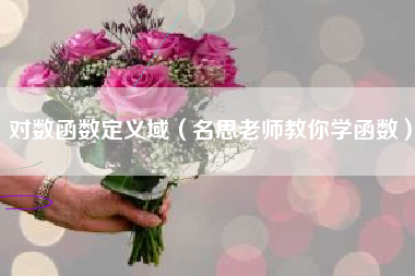 对数函数定义域（名思老师教你学函数）