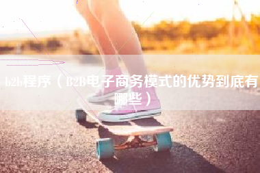 b2b程序（B2B电子商务模式的优势到底有哪些）