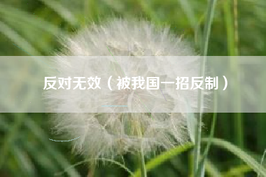 反对无效（被我国一招反制）