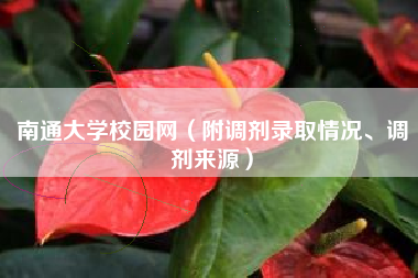 南通大学校园网（附调剂录取情况、调剂来源）