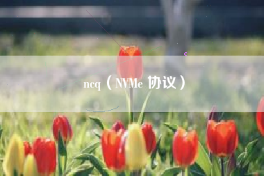 ncq（NVMe 协议）