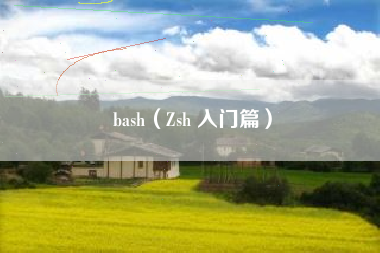 bash（Zsh 入门篇）