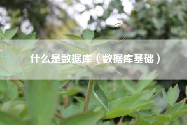 什么是数据库（数据库基础）