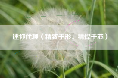 迷你代理（精致于形、精悍于芯）