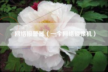 网络报警器（一个网络摄像机）